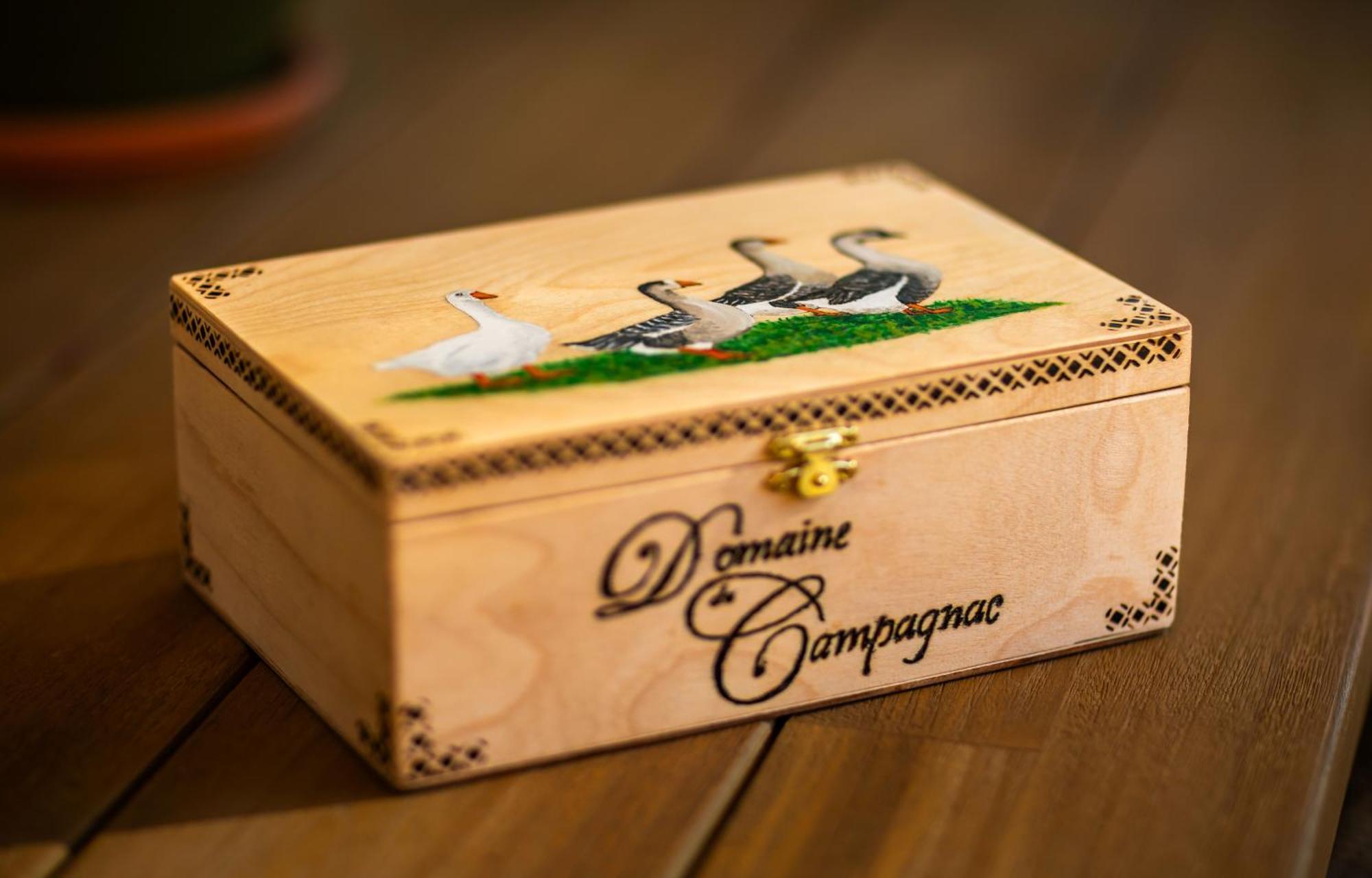 Domaine De Campagnac - Spa & Sauna カルサック・アイヤック エクステリア 写真